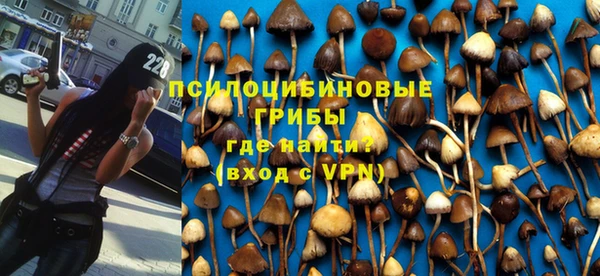 гидра Белокуриха