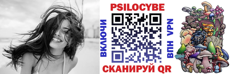 Псилоцибиновые грибы Cubensis Лыткарино